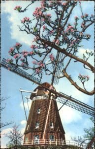 Molen 18__AIEOK+